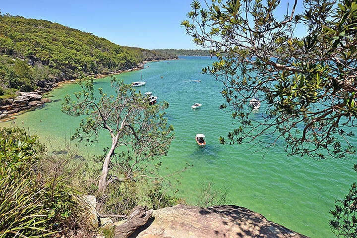 A stunning view of the Spit to Manly coastal walk in Sydney, showcasing a scenic pathway lined with lush greenery and vibrant flora. The trail meanders alongside the sparkling blue waters of the harbor, with glimpses of boats and rocky outcrops in the distance, inviting outdoor enthusiasts to explore the natural beauty of the area.