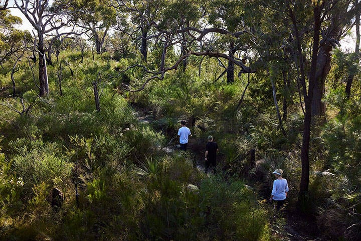 Bushwalking in Ku-ring-gai Chase National Park.  