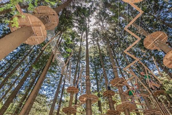 Treetops Adventure Sydney