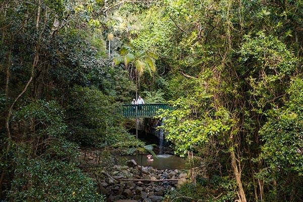 Buderim Falls