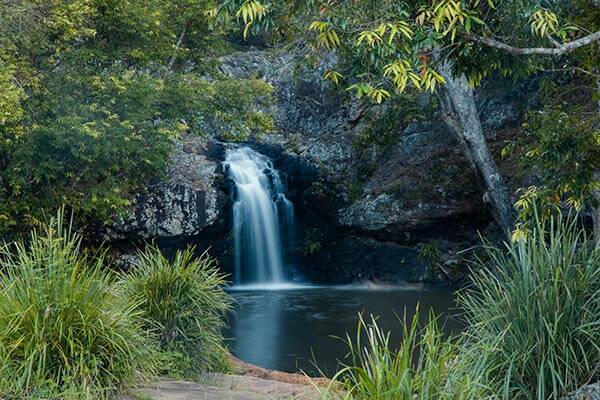Kondalilla Falls