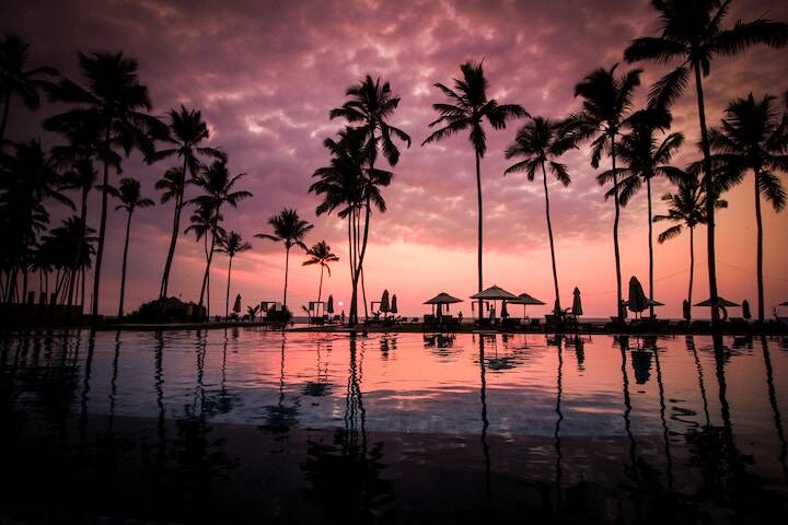 Sunset over water and palm trees at Mindil Beach, Northern Territory