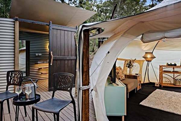 woodland-tents