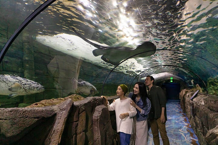 Family enjoying their visit to SEA LIFE Sydney Aquarium, Darling Harbour.  